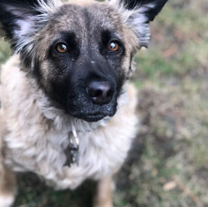 Meet your Posher, Jack